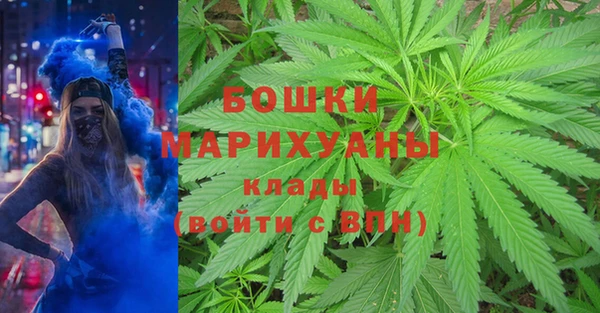 тгк Арсеньев