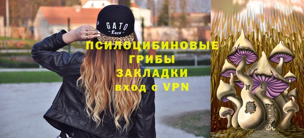 тгк Арсеньев