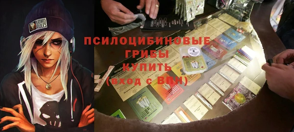 тгк Арсеньев